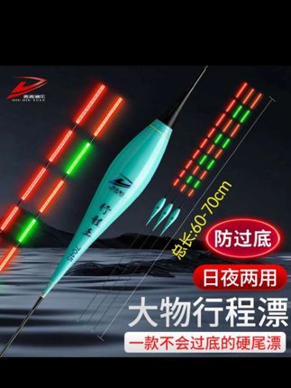 防过底行程王日夜两用接口电子夜光漂混养青鱼草鱼鳊鱼翘嘴鲢鳙漂