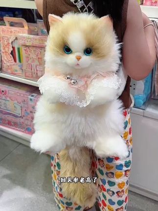 我女儿以为给她买了只真猫咪,这也太通真了!好可爱呀,家里不能养宠物的可以入一只,孩子喜欢到起飞呀~#仿真玩偶#也太可爱了吧 #猫猫背包#儿童礼物
