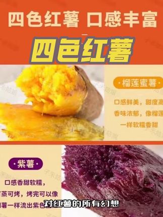 #软糯香甜 #强烈推荐 四色红薯,一次感受四种甜蜜。😘😘😘