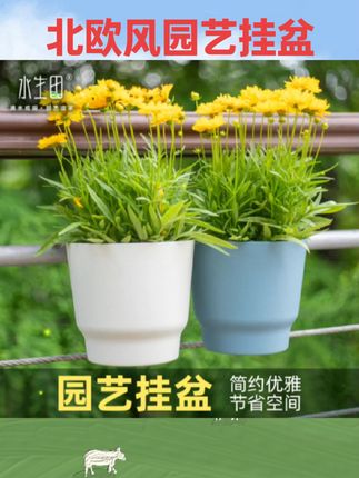 #农用工具 北欧风塑料悬挂式长方形护栏花盆壁挂阳台简约绿萝植物种植箱挂盆#农用好物 #好物种草 #塑料悬挂花盆 #国庆推荐