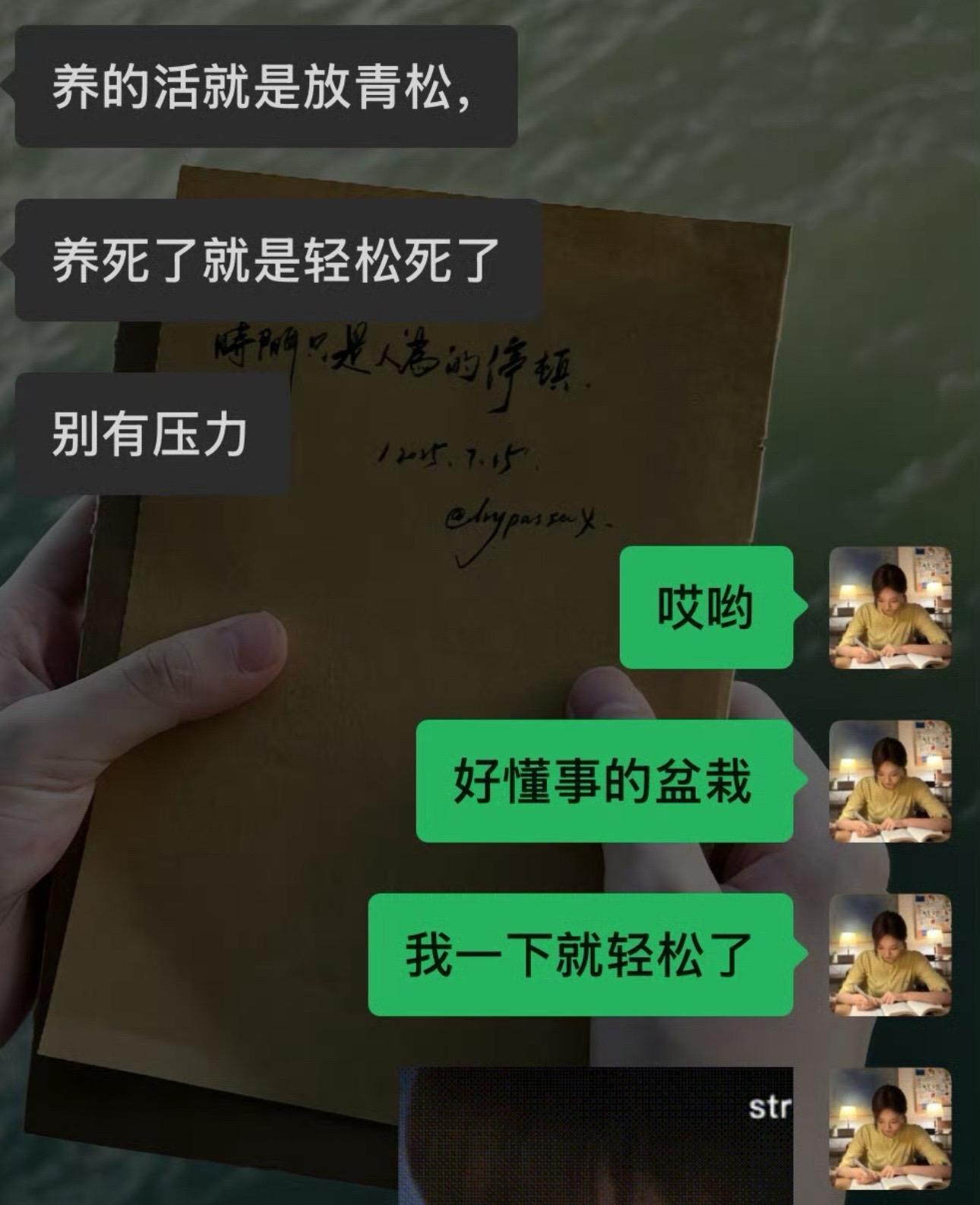 没关系 养得好就一直轻轻松松 养死了就是轻松死了 反正 怎祥都是轻松#枯木逢春#小盆栽