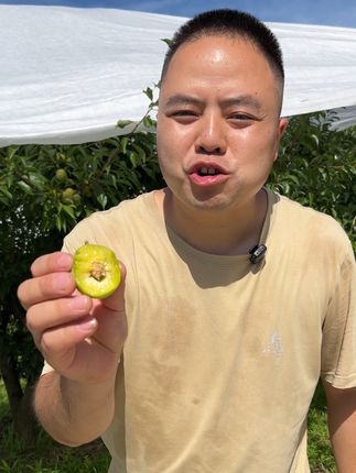 每年最期待的就是这一口又脆又甜的脱骨李,一口嘎嘣脆,巴适惨了#李子熟了 #青脆李 #脱骨李