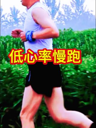 #低心率慢跑(核心) #晨跑打卡#中老年运动 #跑步榜样 #教科书式动作