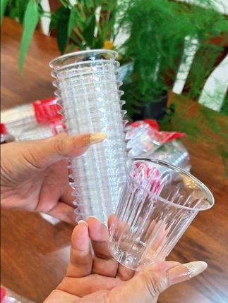 一次性硬质航空杯居家聚餐露营透明加厚防烫一次性杯子#一次性航空杯 #透明一次性航空杯 #方便又实用 #居家露营必备 #无限回购的宝藏单品