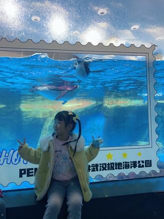 下雨遛娃的一天#武汉极地海洋公园 #湖北有礼