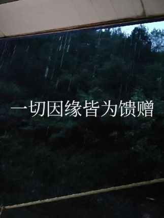 一切因缘皆为馈赠。#人生是一场修行 #纳兰女性成长