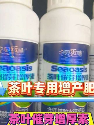 茶叶催芽增厚#茶叶种植#茶叶增产#茶叶催芽增厚#茶叶提早上市@抖加🔥上热门🔥dou+🔥热点宝