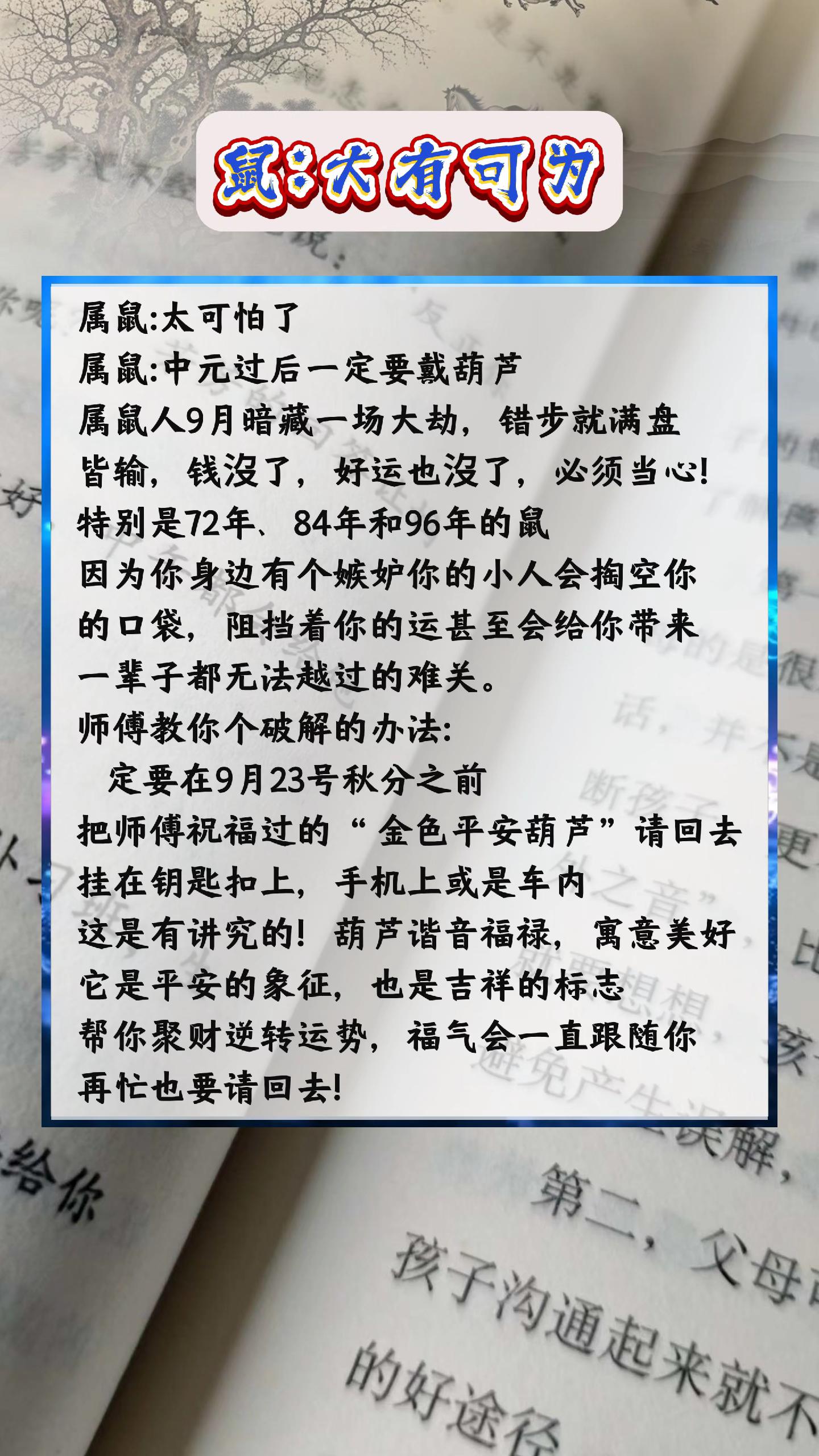 #鼠 #属鼠 #生肖鼠 #72年的鼠 #84年老鼠