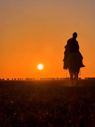 #272 #早日还您一个公道和真相 #保佑🙏