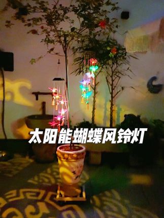 太阳能蝴蝶风铃灯 造型逼真 白天晚上都能装扮花园 灵动感氛围感直接拉满 价格不贵 值得入手#太阳能灯 #一花一草一世界 #田园生活 #爱生活爱养花 #小院时光