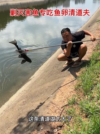 欢迎大家提供更多清道夫清理方法#清道夫
