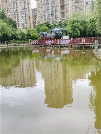 快快快,一个账号只能薅一单的心相印大羊毛来了!它家可是大品牌,质量没得说,每一张都是三层加厚的,摸起来柔软又舒服,而且还是原生的木浆纸,可以放心用。就算打湿后也不容易破,平时拿来擦手擦嘴都很不错,趁着现在还有货,赶紧多囤几单吧!