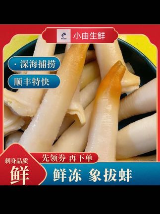 (小由生鲜)鲜冻象拔蚌呛拌象拔蚌象拔蚌刺身品质顺丰特快包邮