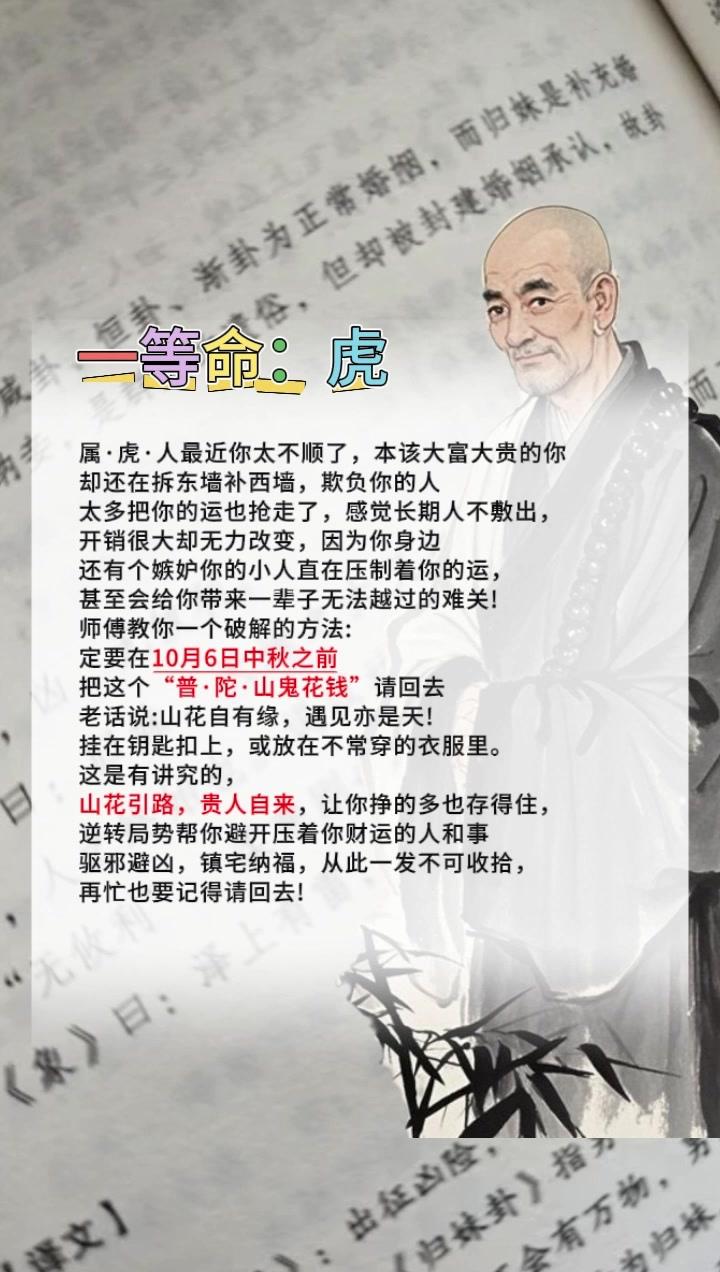 #虎 #属虎