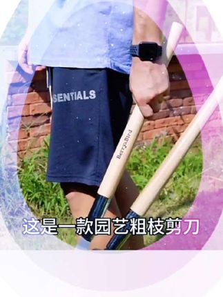 园艺粗枝剪刀修枝果树大力剪刀长柄省力花园林专用工具#鲜花园艺 #园艺粗枝剪 #果树修剪 #园林剪刀 #长柄剪刀