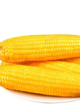 25年头茬新玉米】金箔黄甜糯玉米8大棒(300-380g)旗王合作社主产区#新玉米 #玉米 #软糯香甜 #糯玉米 #农产品