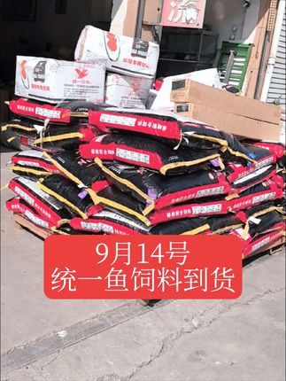 下方小黄车安排