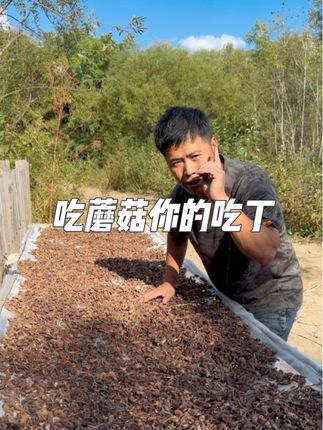 会吃吃丁,不会吃吃片