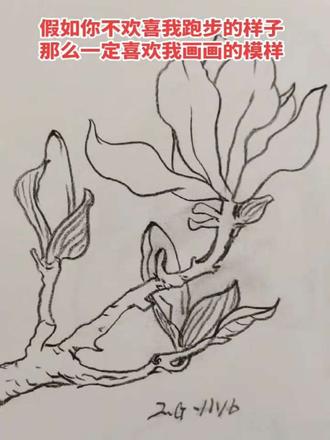 喜欢白描画画的跑步银#跑步治愈一切 #晨跑打卡 #白描画