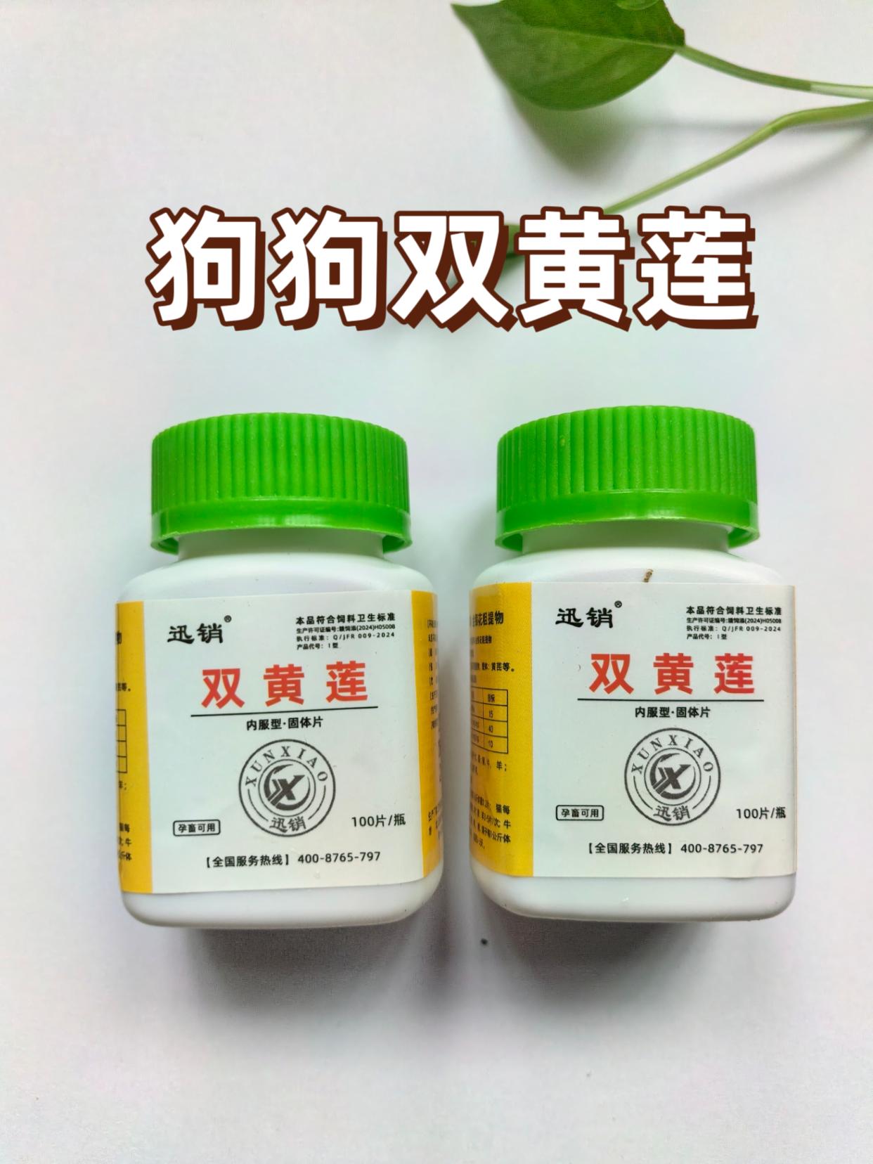 #家有毛孩子的乐趣 #养狗经验分享 #不养狗不知道养狗的乐趣 #萌宠出道计划 #养狗人
