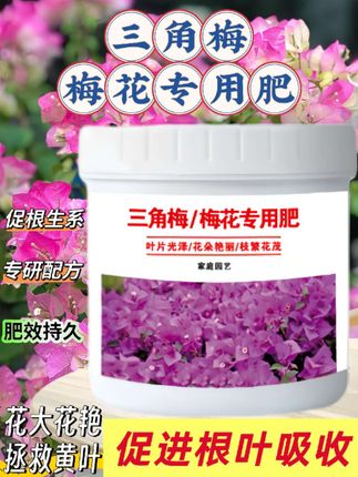#创作灵感 三角梅、梅花用它,开花密到看不见叶!#肥料 #专用肥 #爱生活爱养花 @创作灵感小助手