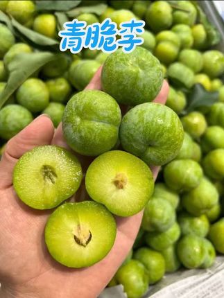 五月的风,六月的雨,七月的高山清脆的,四川的这个高山清脆的已经熟了,每一颗都非常的脆,已经脱骨离合了,树上自然成熟。#青脆李 #脱骨李 #现摘现发新鲜到家