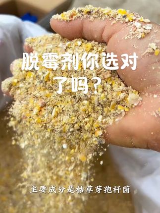 #脱霉剂##脱霉剂怎么选 #脱霉剂的重要性 #家禽养殖 #助力三农