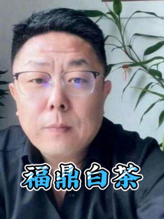 福鼎老白茶 #白茶 #福鼎白茶 #老白茶 #福鼎老白茶 #茶生活