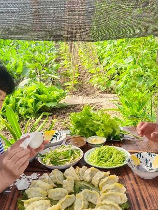 从菜园到舌尖,鹅窝捡鹅蛋,现摘现做才是庄稼院里最鲜的饭
