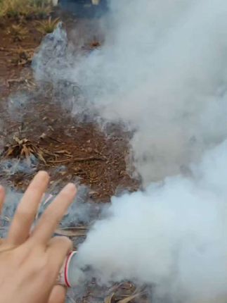 @蚂蚁蟑螂,蜈蚣,七星瓢虫和瑞苍蝇等等100多种害虫,烟雾弹轻轻松松解决。