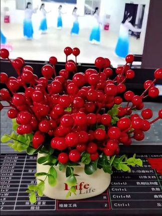 #花卉绿植 #好看的花一定分享给你 #仿真花 #红果#发财果