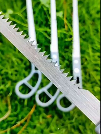 园艺修枝锯果树修枝小手锯#实用工具 #新农人计划 #园林工具 #凤尾锯#生活好帮手