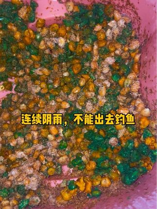 #钓鱼人就是这么疯狂 #三老头浮漂