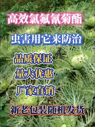 病虫害防治#病虫害防治#杀虫剂 #高效氯氟氰菊酯#助力三农 #服务三农支持三农