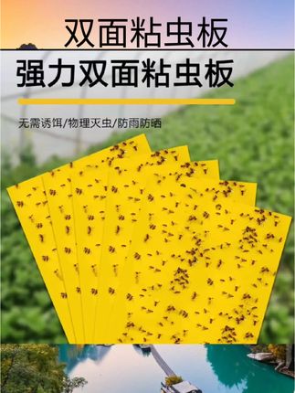 #双面粘虫板 黄板双面粘虫板诱虫蓝板纸贴黄色飞虫小黑飞粘蝇诱捕器粘板飞蛾#好物分享#好物推荐#消杀用品#杀虫好物