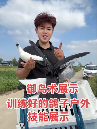 御鸟术展示 训练好的鸽子户外技能展示感觉表现不错的关注,红心点亮,感谢大家#御鸟术展示#训练好的鸽子技能展示 #我要上热们 #俊昊鸽子盘飞#训鸟高手