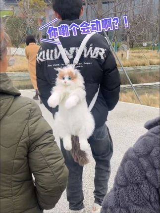 当我背着猫猫背包出门?#可爱到爆炸💥 #被迫营业的猫猫 #这样的猫猫你们见过吗 #仿真猫咪包 #生日礼物