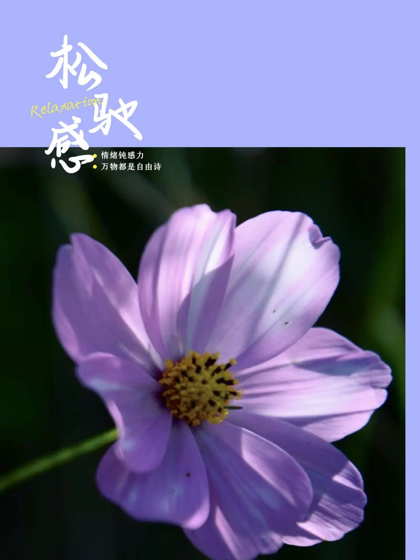 第二次备孕,心态放平了很多。第一次备孕特别紧张,天天测排卵, - 抖音