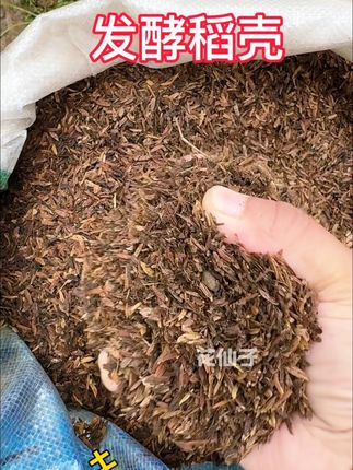发酵稻壳可是种植的好帮手!腐熟后肥力温和,能疏松土壤、保水透气,不管种蔬菜还是果树都合适。 用它改良土壤,作物根系长得壮,长势更旺。简单实用的种植小技巧,助力农耕,让种植更轻松。三农好物,值得试试! #发酵稻壳 #种植小技巧 #三农 #三农流量扶持计划 #三农种植@抖加🔥上热门🔥dou+🔥热点宝 @DOU+小助手 @巨量千川 @抖音小助手