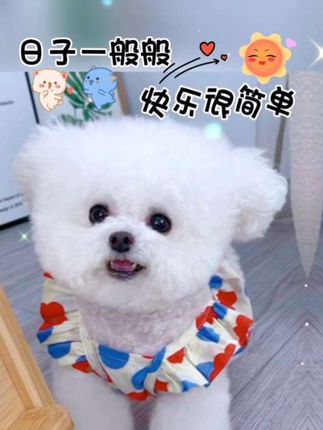 家有萌宠快乐多 #好物分享 #猫粮 #爆款热卖中 #萌宠出道计划 #萌宠
