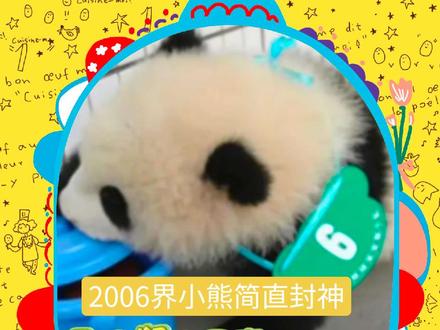 2006级中心18只熊猫🐼宝宝,夭折4只存活14只,现在她们个个都很厉害#大熊猫 #大熊猫思嘉 #大熊猫萌萌 #大熊猫福娃凤仪 #治愈系