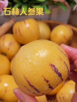 一年就这一季的云南石林黄肉圆人参果,都是自然成熟,人工采摘,每一个都个大饱满,皮薄肉厚,金黄色的果肉清香浓郁,一口下去清甜爆汁,满口的人参果香,真的巨好吃#新鲜采摘 #现摘新鲜水果 #快来一起尝个鲜