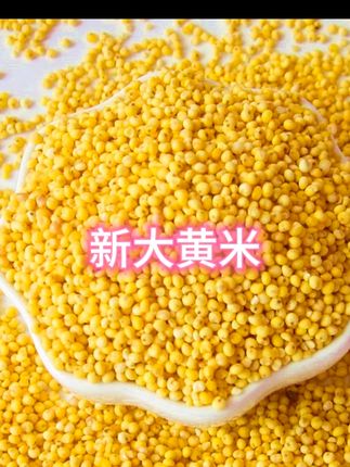 #敖汉大黄米 #新大黄米