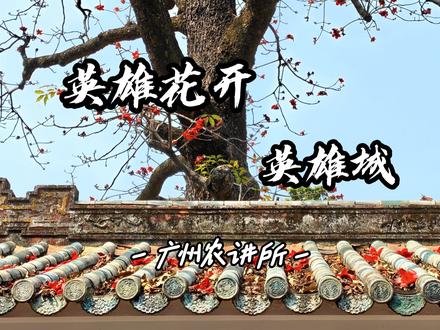 英雄花开英雄城,也是赶在花掉完前打卡了今年广州的木棉花😋
#广州 #农讲所 #木棉花 #小米17pro #我的摄影日记