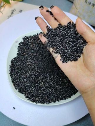 东北黑土地直供!这口黑米香到骨子里 咱东北黑土地养的黑米,颗颗饱满像墨珠!熬粥咕嘟15分钟就出胶,黏糊糊裹着米香,甜口撒糖、咸口配菜都绝。 每斤都带着黑土地的营养劲儿,早餐暖粥、晚餐杂粮饭全搞定,老人孩子都爱吃。现在产地直邮,没中间价,这波囤货绝对值,错过等明年!#东北黑米 #黑米 #营养丰富 #五谷杂粮 #口感软糯香甜