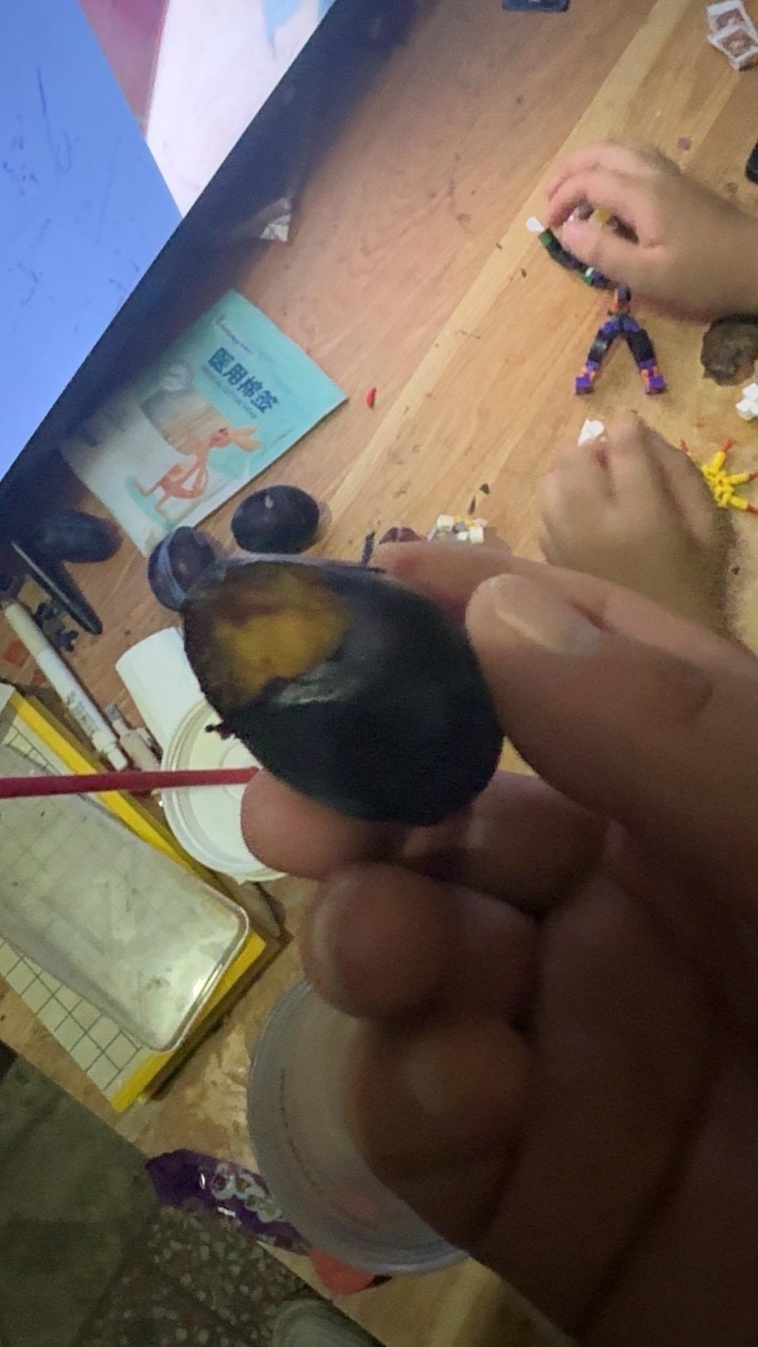 这商家太缺德了,老鼠咬的还发货#我在抖音买买买
