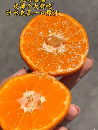 #谁懂这一口的好吃程度    哇塞塞~流口水🤤!!姐们们,终于吃到了酸甜可口的青皮蜜橘 !皮薄汁水多 没有籽 很甜很清新的橘子香~维c满满,巨好吃巨解腻!#蜜橘 #橘子  #优质农产品#快来一起尝个鲜