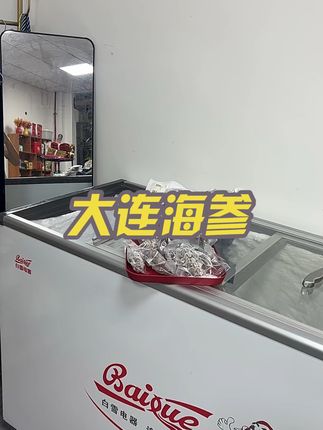 大连海参刺参