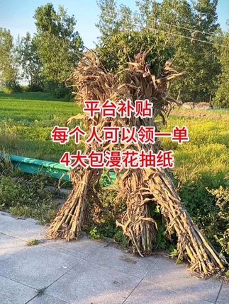 我滴个老天鹅老铁们,姐妹们快快快暑假来临,漫花抽纸也来给大家来福利啦,每人可以领一次,这个价到手4大包抽纸,快薅呀#生活用纸 #漫花抽纸推荐 #超便宜超划算 #超高性价比 #抽纸巾 纸巾