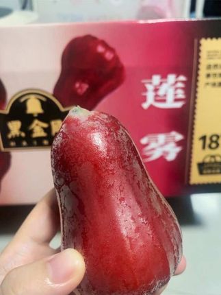 海南黑金刚莲雾!水上的水铃铛🔔肉质鲜嫩,脆甜爽口又多汁!真的巨好吃😋不爱喝水的,都给我盘它#莲雾#黑金刚莲雾#新鲜应季水果#脆甜多汁#海南黑金刚莲雾@DOU+小助手